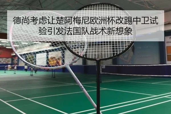 德尚考虑让楚阿梅尼欧洲杯改踢中卫试验引发法国队战术新想象