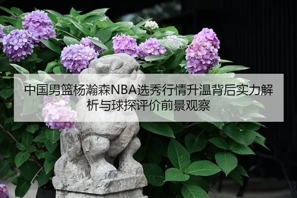 中国男篮杨瀚森NBA选秀行情升温背后实力解析与球探评价前景观察